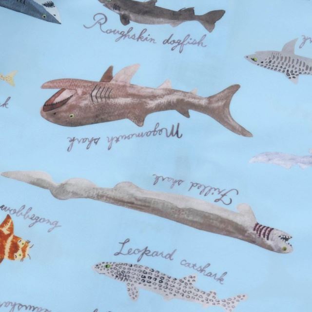 サメ図鑑柄が新鮮なラッシュガード。お魚ネーム付き♪