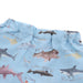 サメ図鑑柄が新鮮なトランクス水着。お魚ネーム付き♪