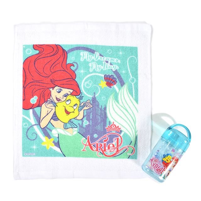 送料無料 抗菌ケース付 おしぼりセット アリエル 24年 — COLORFUL