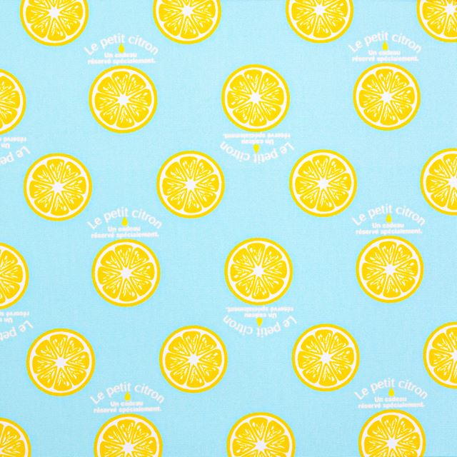 Pool Bag Laminated Bag (Square Type) Citron Lemonade