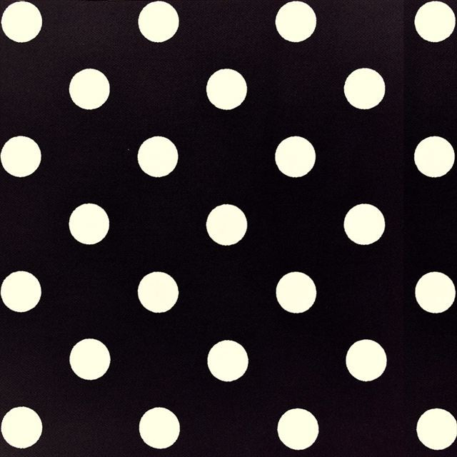 [SALE: 50% OFF] decor PolkaDot shoe case reversible polka dot large xnarrow stripe 