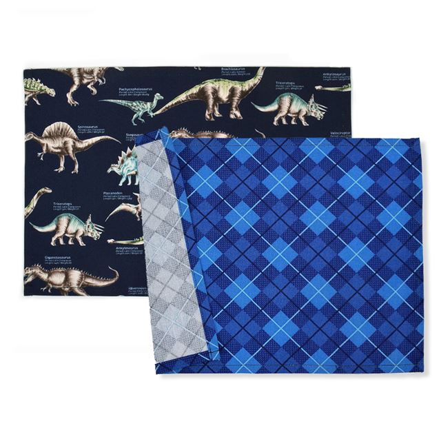 [SALE: 30% OFF] Placemat (25cm x 35cm) Set of 2 different patterns Explore! Dinosaur Continent Set 