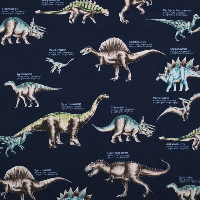 [SALE: 30% OFF] Placemat (25cm x 35cm) Set of 2 different patterns Explore! Dinosaur Continent Set 