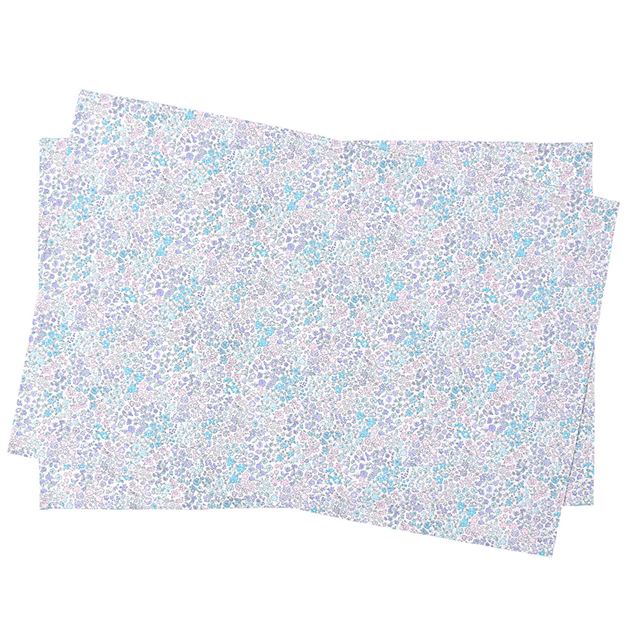 Set of 2 placemats (40cm x 60cm) | popular lineup for girls 