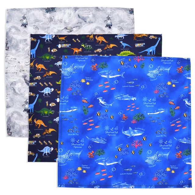 【男の子人気ランキングTOP28】ランチクロス・給食ナフキン(45cm×45cm)