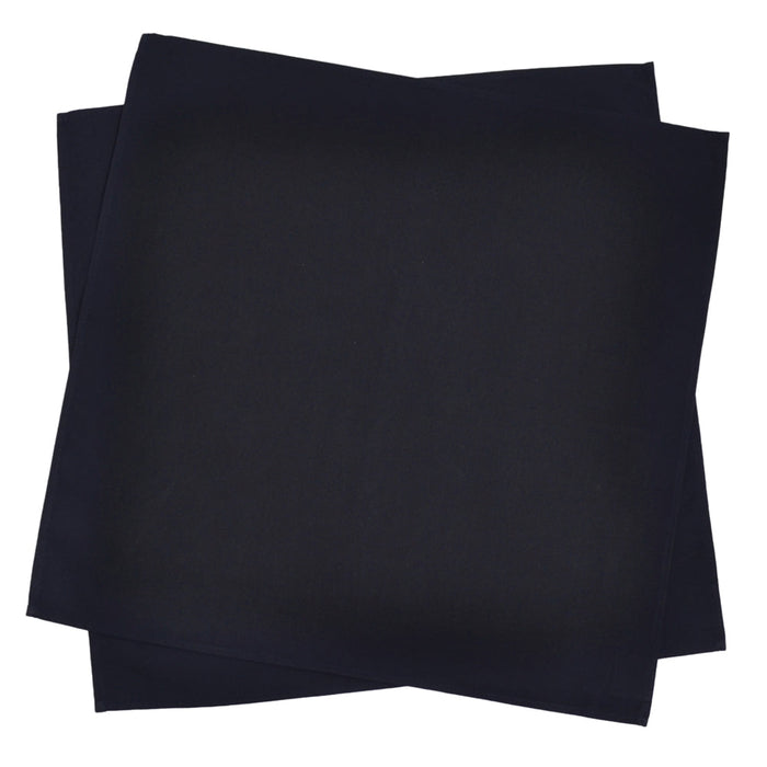 【くすみコレクション人気ランキングTOP22】ランチクロス・給食ナフキン(45cm×45cm)  2枚セット