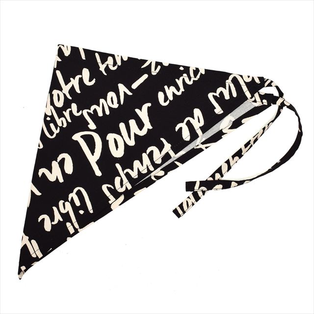 新登場 エプロン(150～170cm) 手提げバッグ・三角巾付き ラ・パリジェンヌ