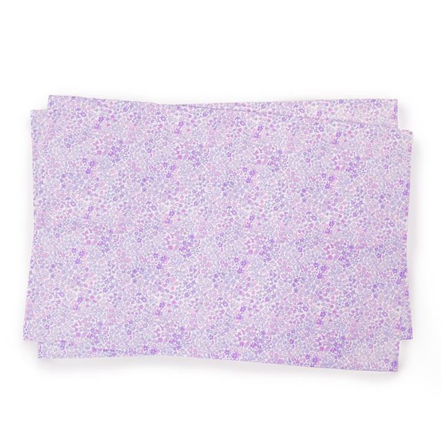 Set of 2 placemats (40cm x 60cm) | popular lineup for girls 