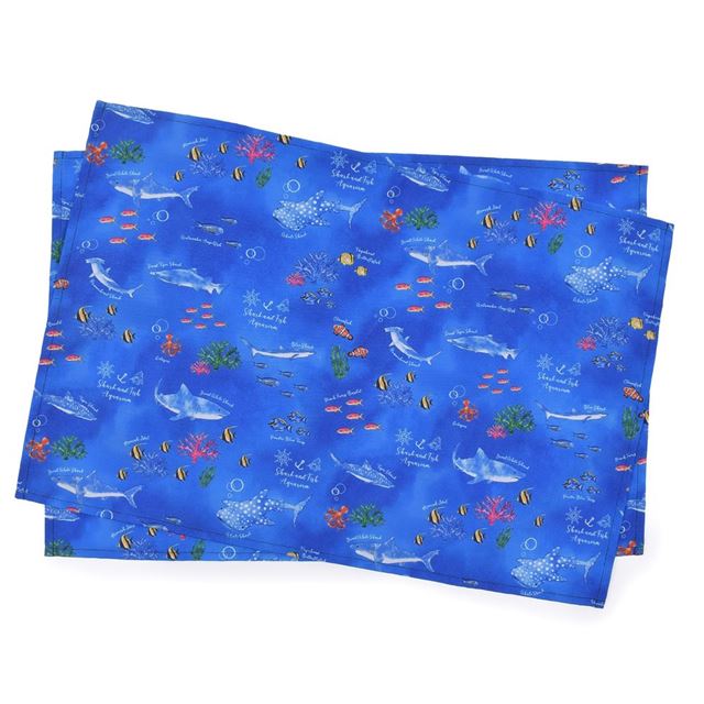 Set of 2 placemats (40cm x 60cm) | Boy's Popular Lineup 