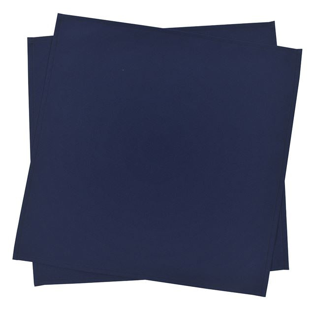 【くすみコレクション人気ランキングTOP22】ランチクロス・給食ナフキン(45cm×45cm)  2枚セット