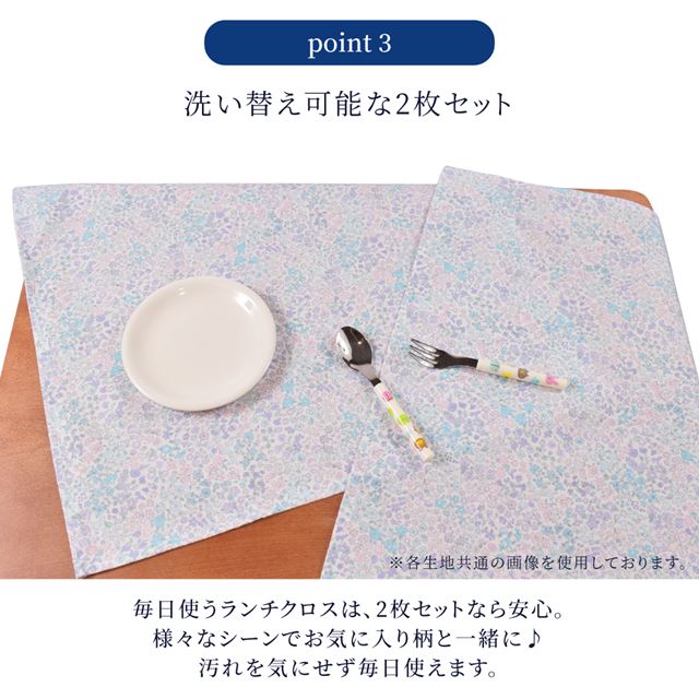 ランチクロス・給食ナフキン(45cm×45cm) はっ水ノーアイロン 2枚セット