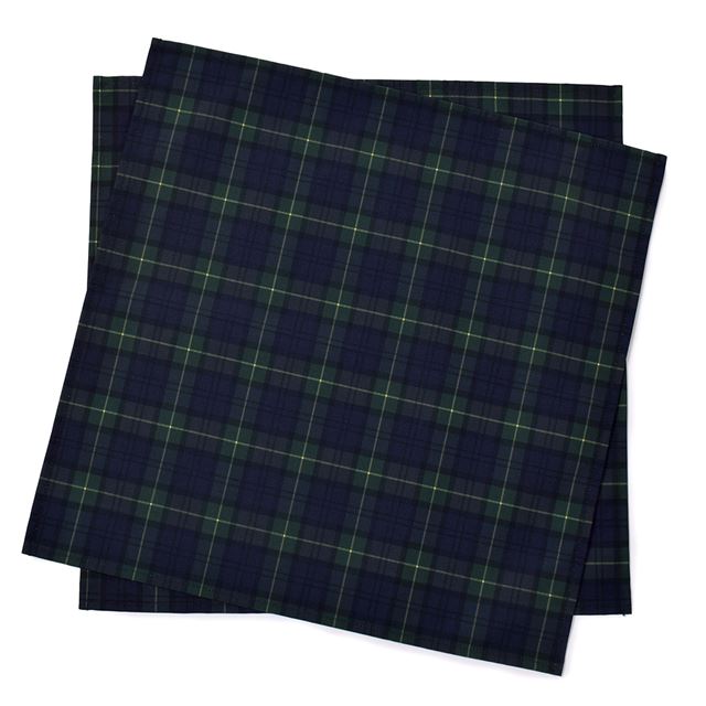 【くすみコレクション人気ランキングTOP22】ランチクロス・給食ナフキン(45cm×45cm)  2枚セット