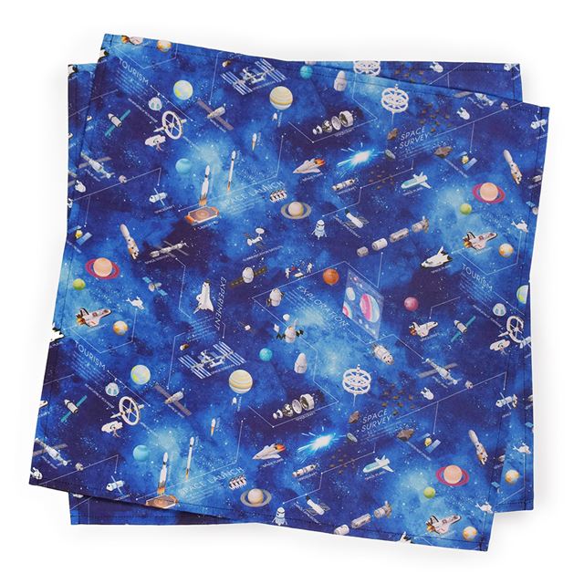 ランチクロス・給食ナフキン(45cm×45cm) 2枚セット 【男の子人気ランキングTOP19】