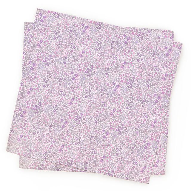 【女の子人気ランキングTOP26】ランチクロス・給食ナフキン(45cm×45cm)