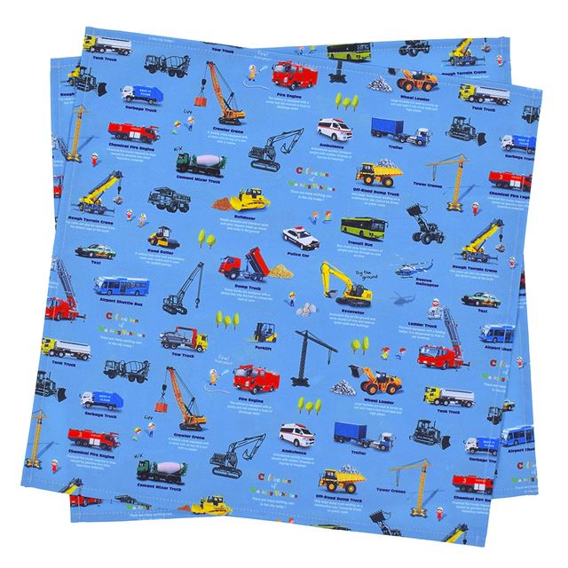 【男の子人気ランキングTOP28】ランチクロス・給食ナフキン(45cm×45cm)