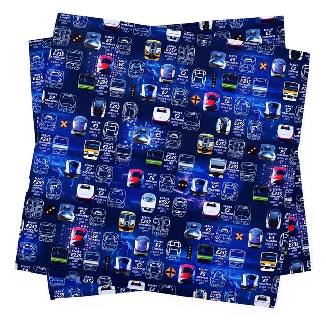 【男の子人気ランキングTOP28】ランチクロス・給食ナフキン(45cm×45cm)