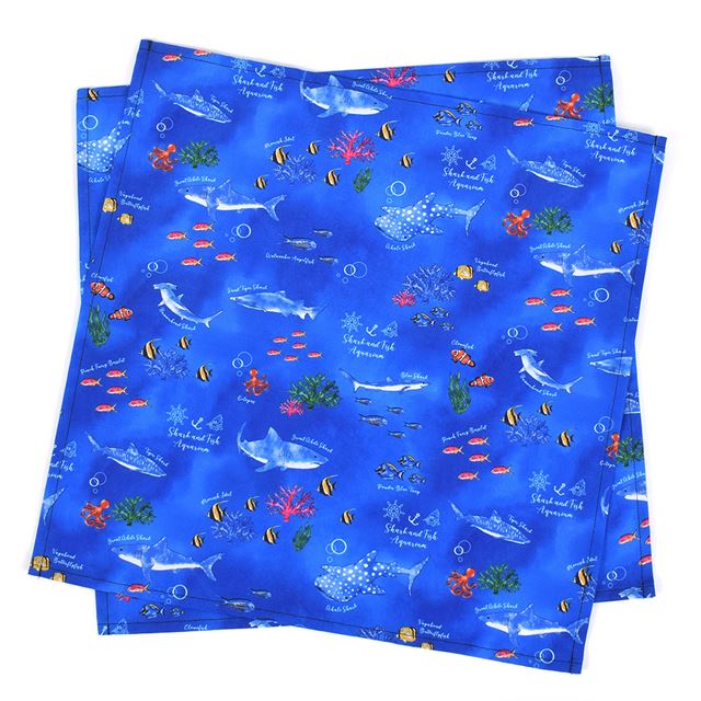 ランチクロス・給食ナフキン(45cm×45cm) 2枚セット 【男の子人気ランキングTOP19】