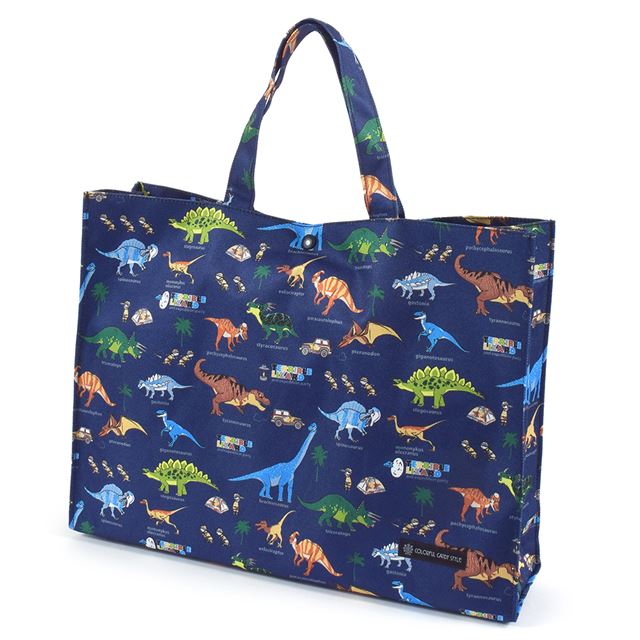 Pool Bag Laminated Bag (Square Type) | Boy Popular Lineup 