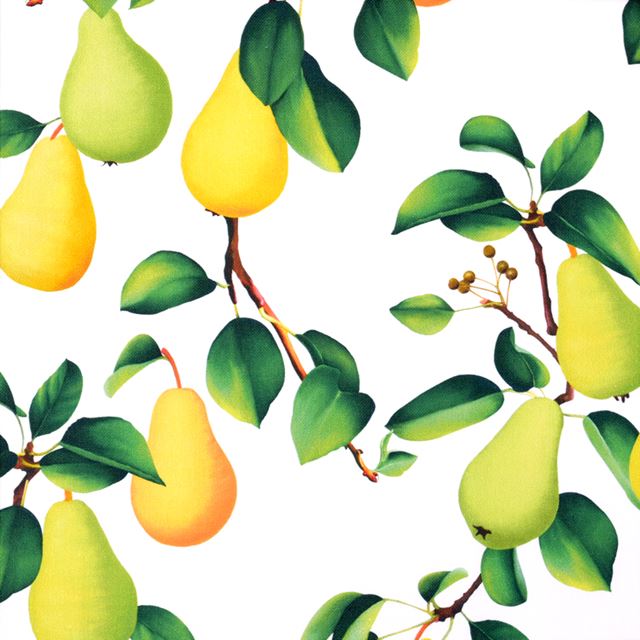 ゆうパケット対応 アウトレット マルチケース 母子手帳ケース ジャバラタイプ イエローラフランス