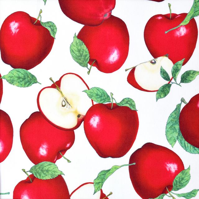 ゆうパケット対応 アウトレット マルチケース 母子手帳ケース ジャバラタイプ アップルツリー