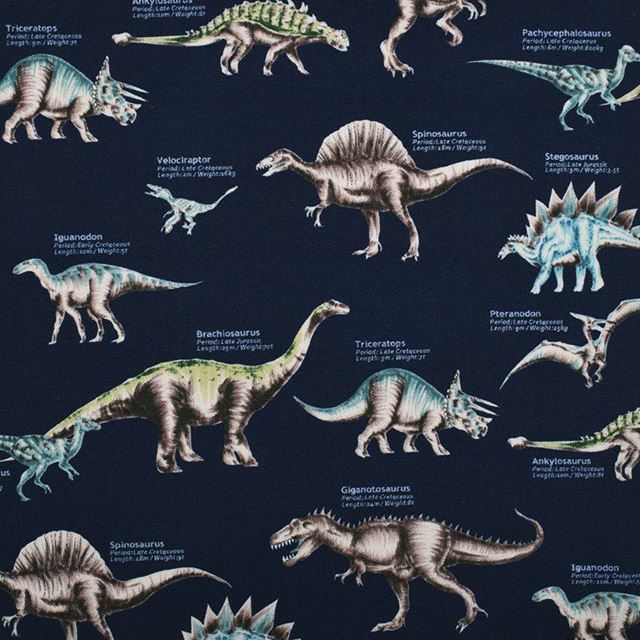 カラフルキャンディスタイルのナップサック。小学生に人気で、持ち手付きのおしゃれな体操服入れ。男の子と女の子兼用で大活躍。