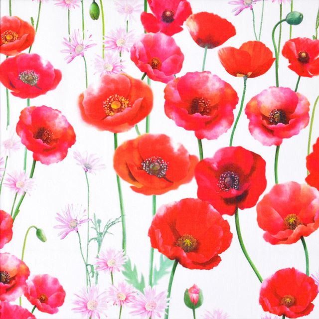 アウトレット ボトルケース・カバー スカーレットポピー