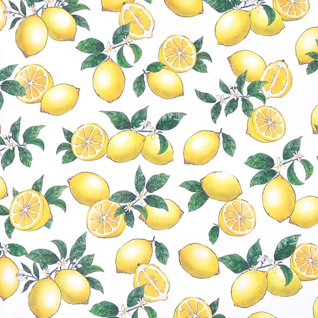 ゆうパケット対応 アウトレット トラベルポーチSサイズ シトラスレモン