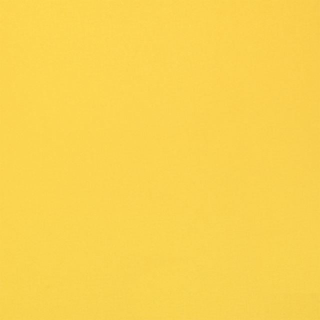 ゆうパケット対応 アウトレット ランチョンマット 2枚セット 綿100％(30cm×45cm) リバーシブルタイプ 無地オックス・シトロンイエロー