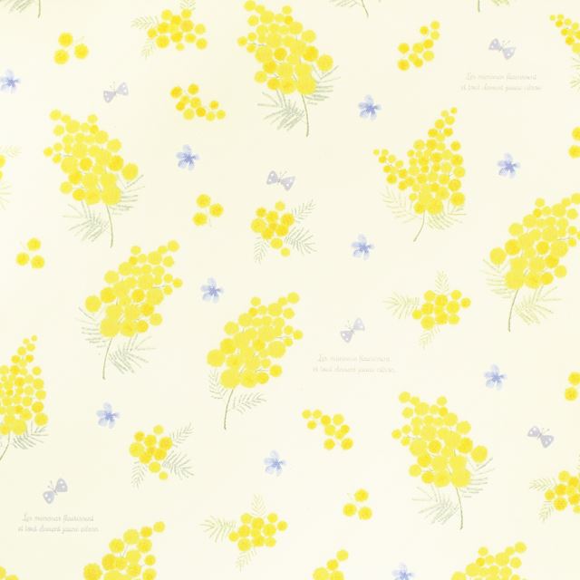 アウトレット 鍵盤ハーモニカケース スタンダード ミモザフルール