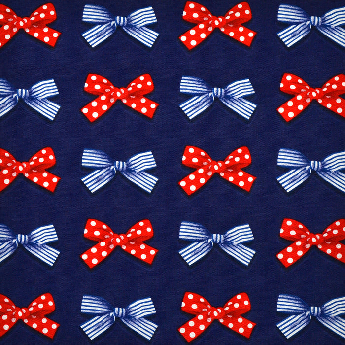 Lesson Bag Gusset Zipper Polka Dot and Stripe French Ribbon (Navy) 