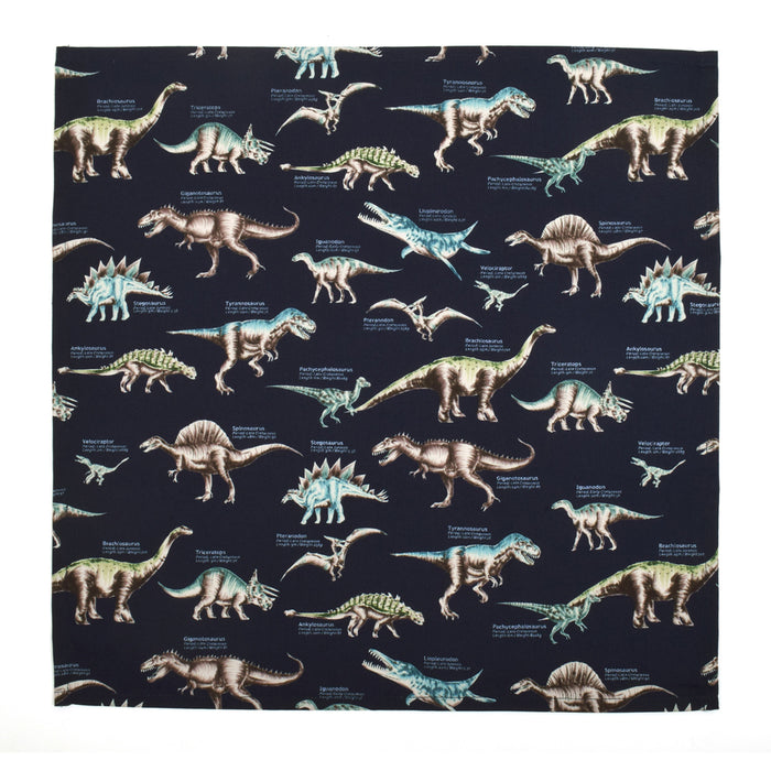 Lunch cloth/lunch napkin (45cm x 45cm) set of 2 Dinosaur Museum 