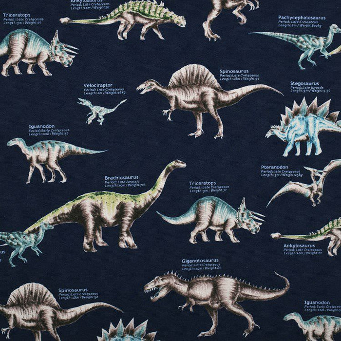 Contact bag (A4 size) Dinosaur Museum 