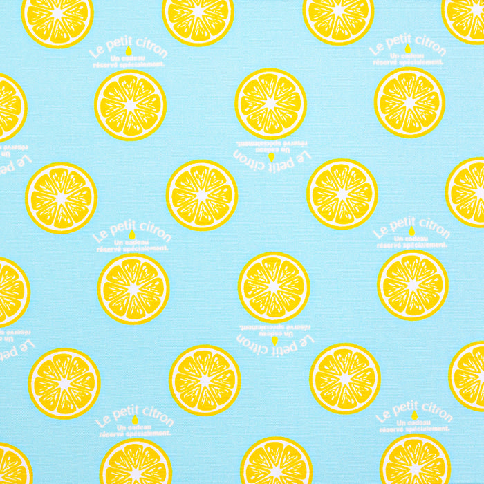 Recorder Case Citron Lemonade 