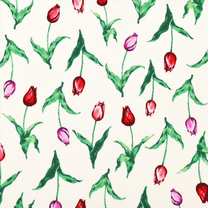 ゆうパケット対応 大人用マスク フリーサイズ 2枚セット(銀イオン抗菌ガーゼ) チューリップワルツ