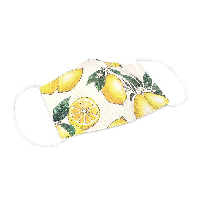 [SALE: 80% OFF] Adult mask free size 2 piece set (silver ion antibacterial gauze) citrus lemon 