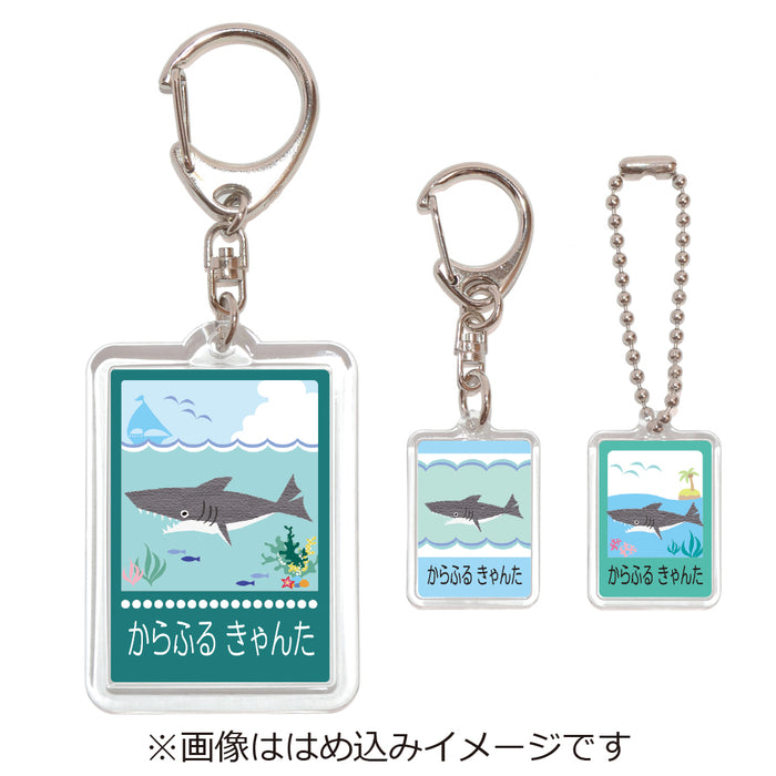 Name Keychain Set of 3 Shark