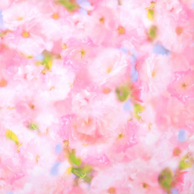 【アーリーサマーセール：60％OFF】 水筒カバー ラージタイプ 花柄F