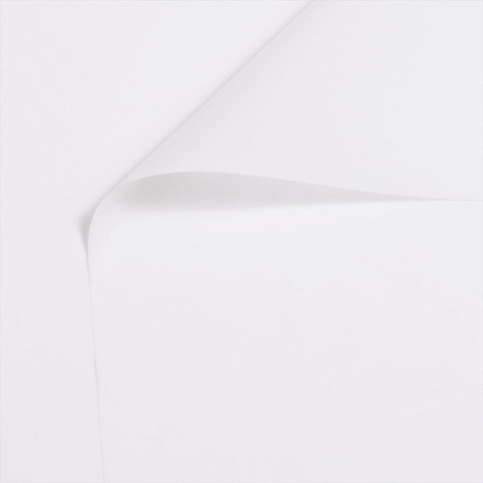 Yu-packet nylon taffeta/white nylon taffeta fabric 
