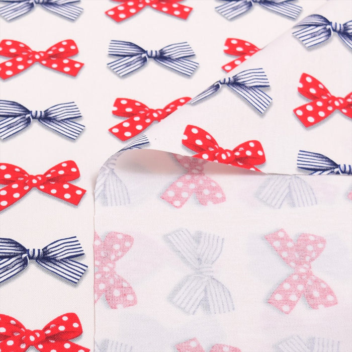 Yu-Packet Polka Dot and Stripe French Ribbon (Ivory) Oxford Fabric 