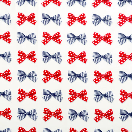 Yu-Packet Polka Dot and Stripe French Ribbon (Scare Fabric/Ivory) Scare Fabric 