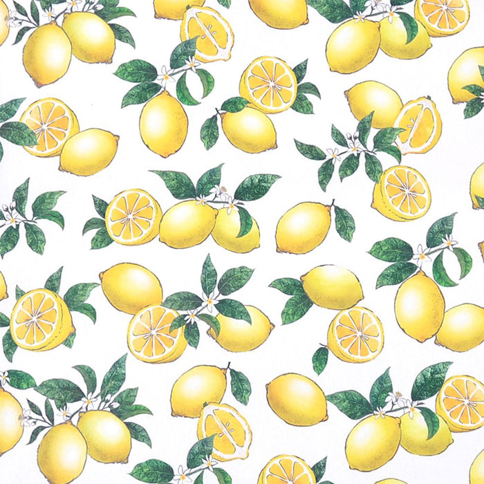 PC case 13.3 inch citrus lemon 
